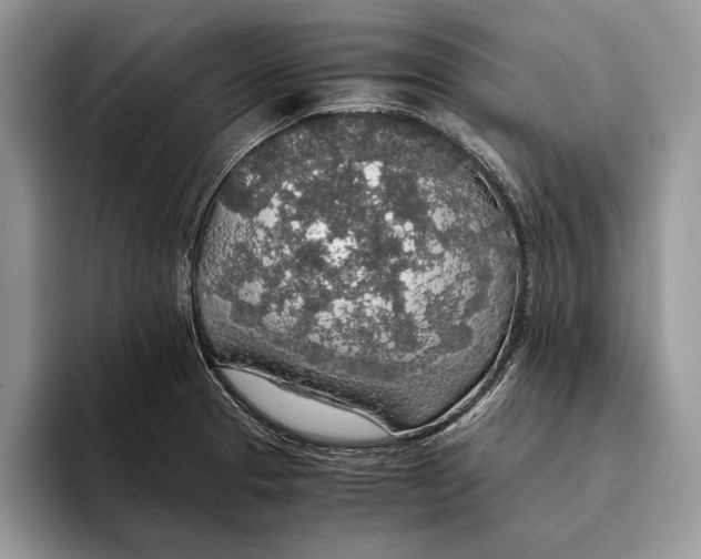 X0000093411329200711091352