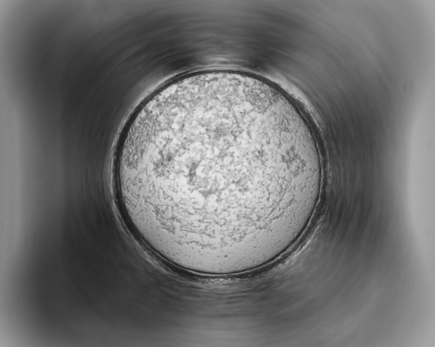 X0000093411333200711091352