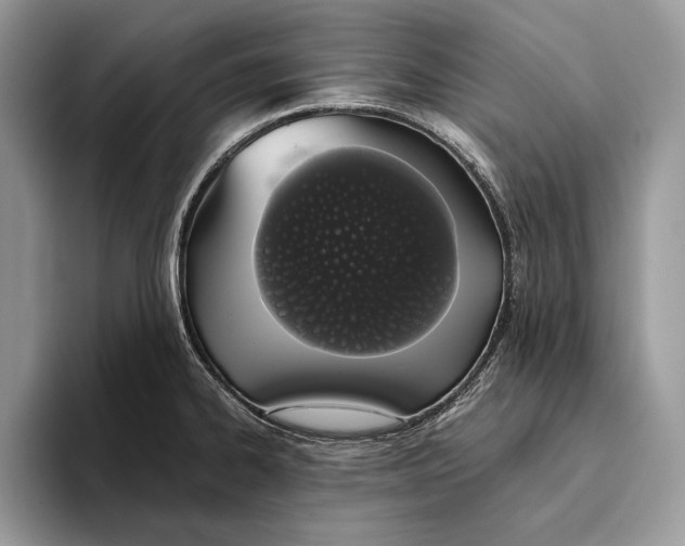 X0000093411334200711091352