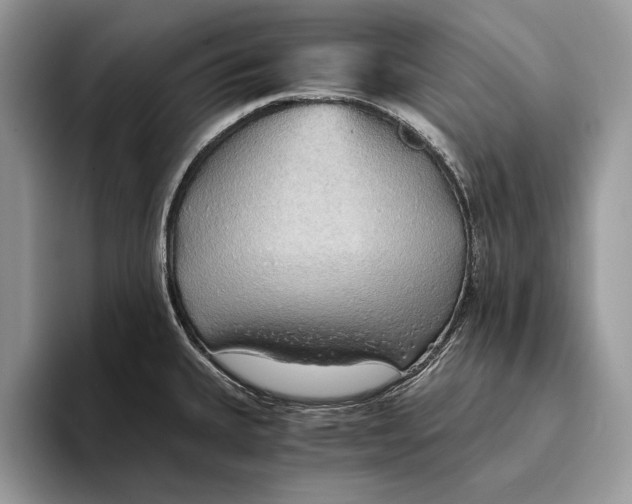 X0000093411335200711091352