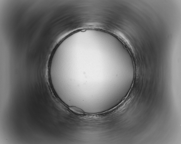 X0000093411336200711091352