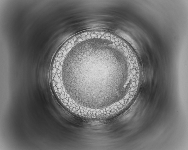 X0000093411338200711091352