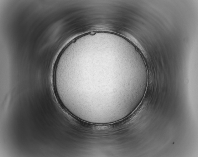 X0000093411339200711091352