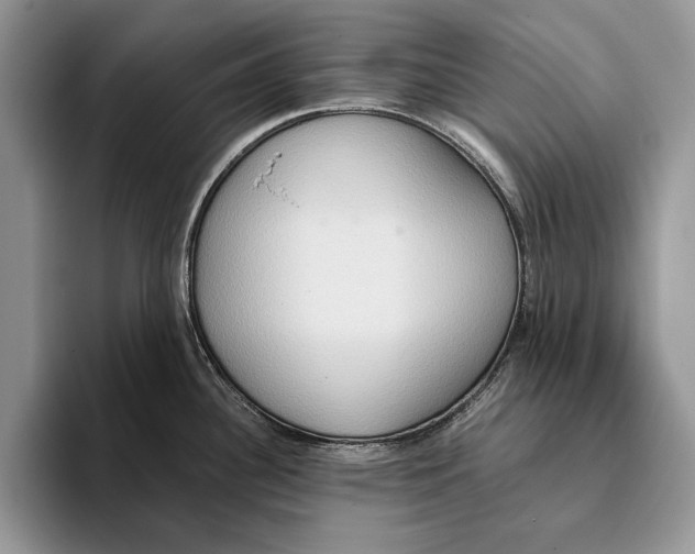 X0000093411340200711091352