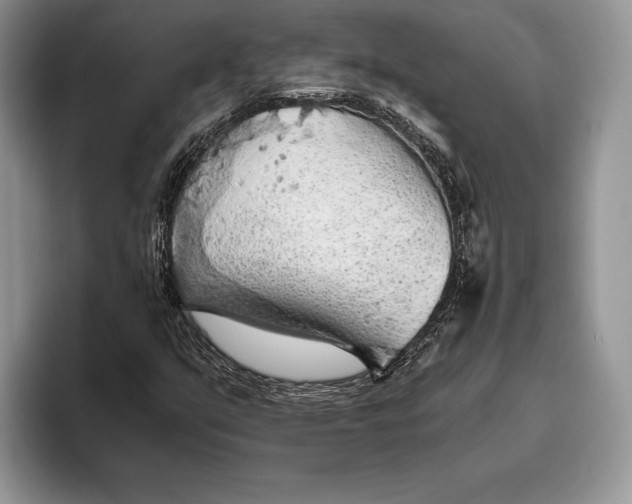 X0000093411351200711091352