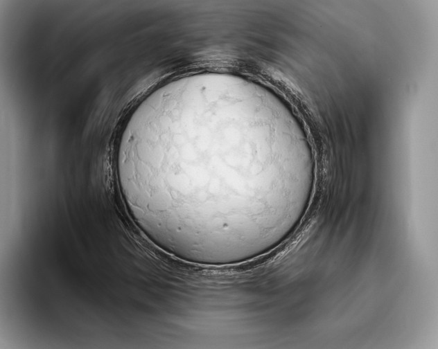 X0000093411354200711091352