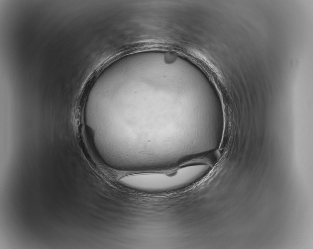 X0000093411357200711091352