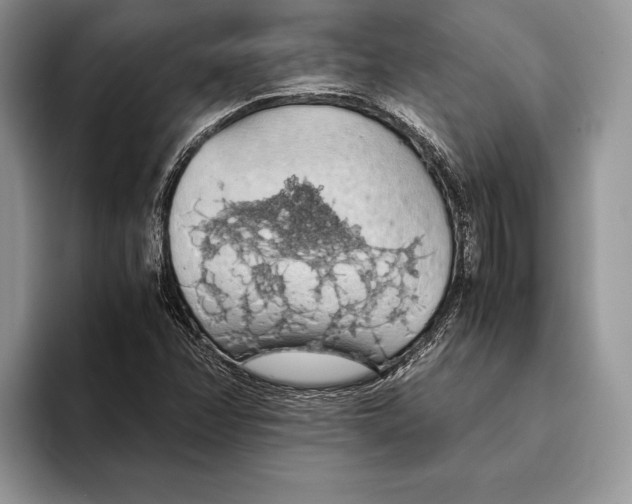 X0000093411358200711091352