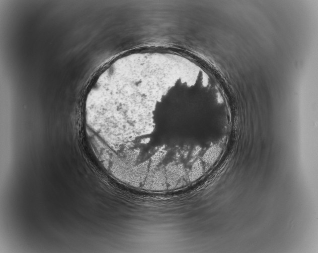 X0000093411359200711091352