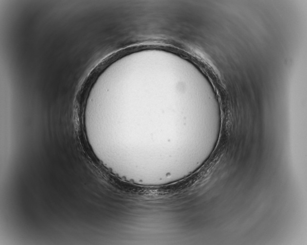 X0000093411360200711091351