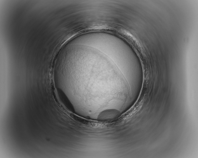 X0000093411361200711091351