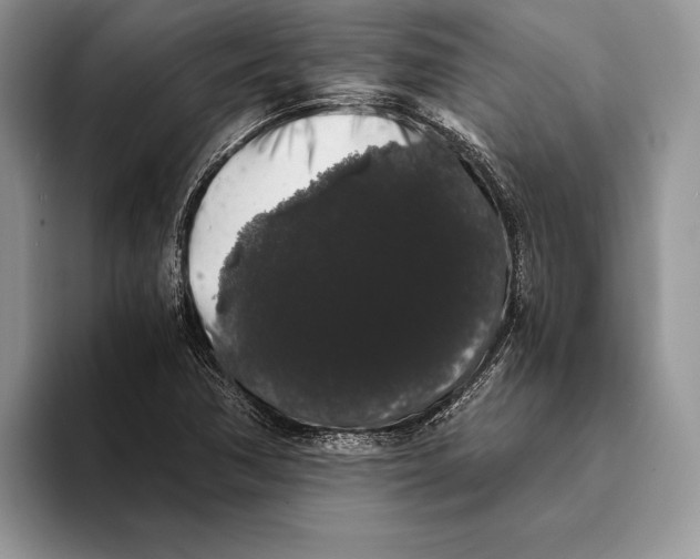 X0000093411362200711091351