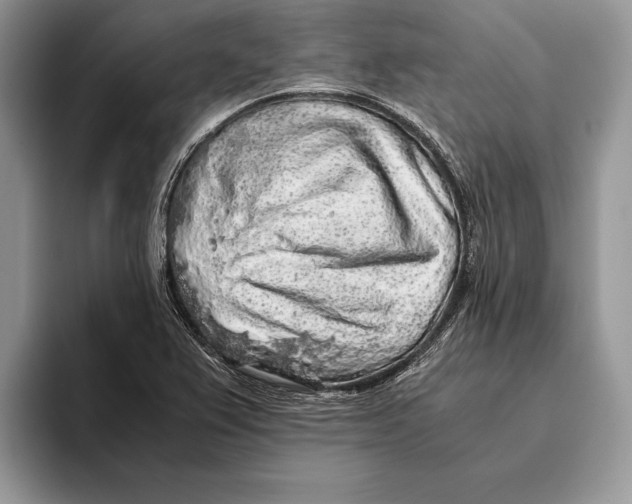 X0000093411367200711091351