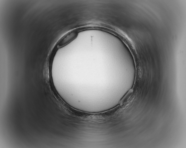 X0000093411368200711091351