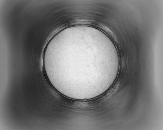 X0000093411370200711091351