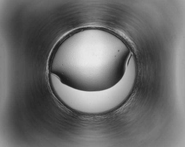 X0000093411372200711091351