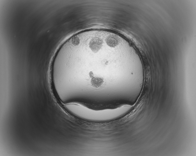 X0000093411375200711091351