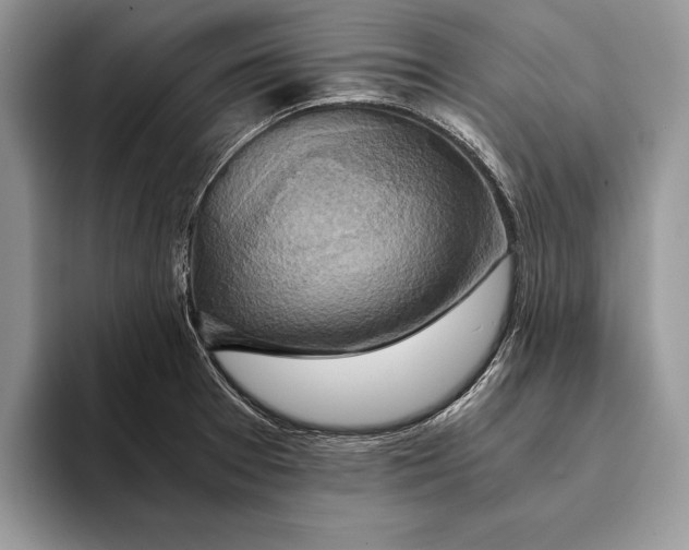 X0000093411377200711091351