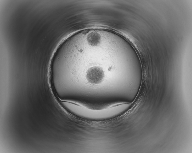 X0000093411379200711091351