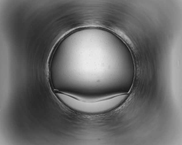 X0000093411380200711091351