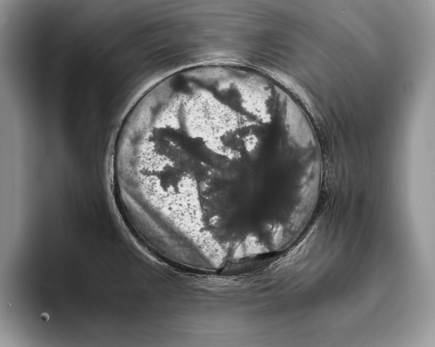 X0000093411383200711091351