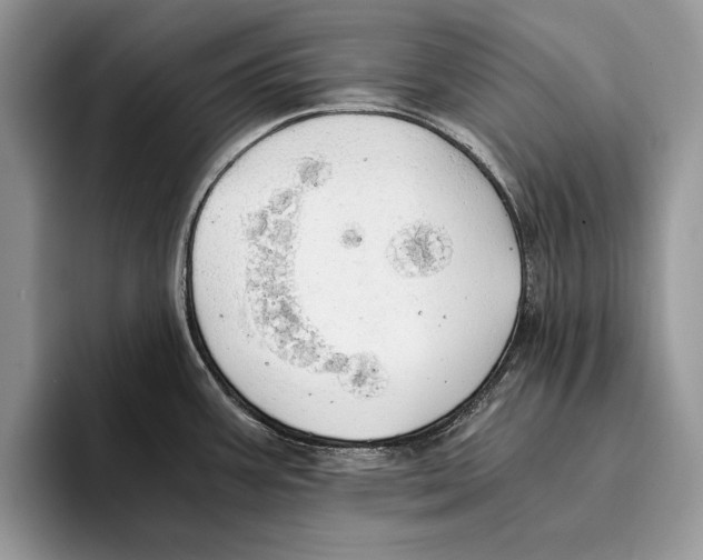 X0000093411387200711091351