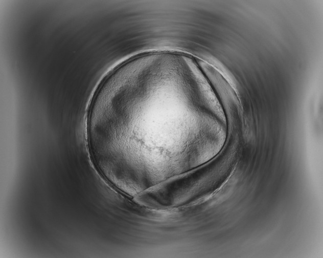 X0000093411388200711091351