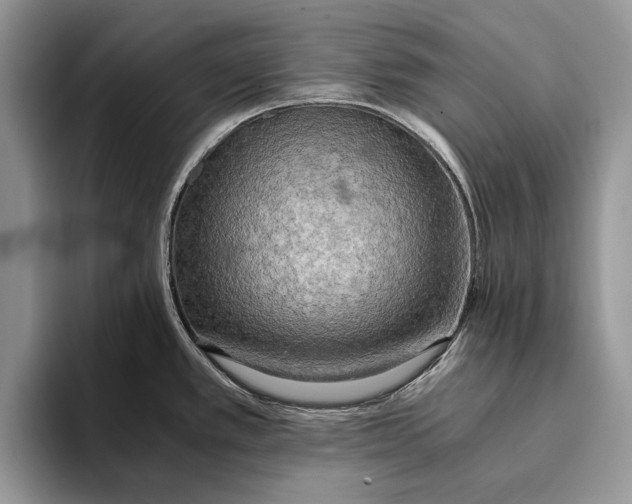 X0000093411389200711091351