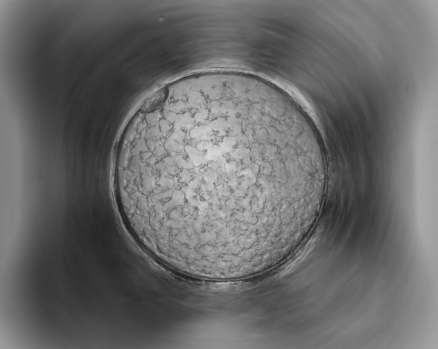 X0000093411390200711091351