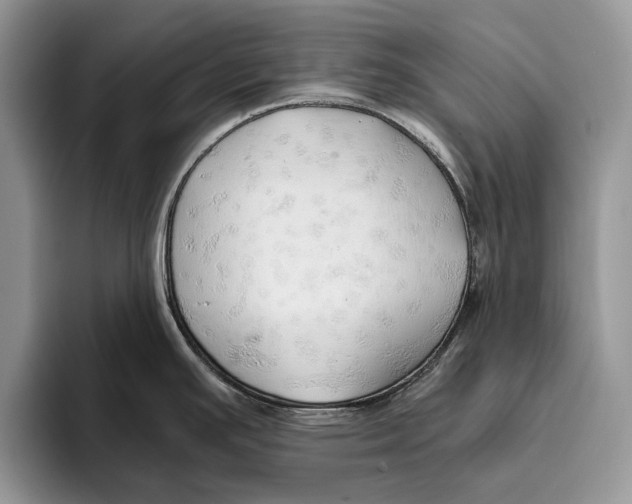 X0000093411391200711091351