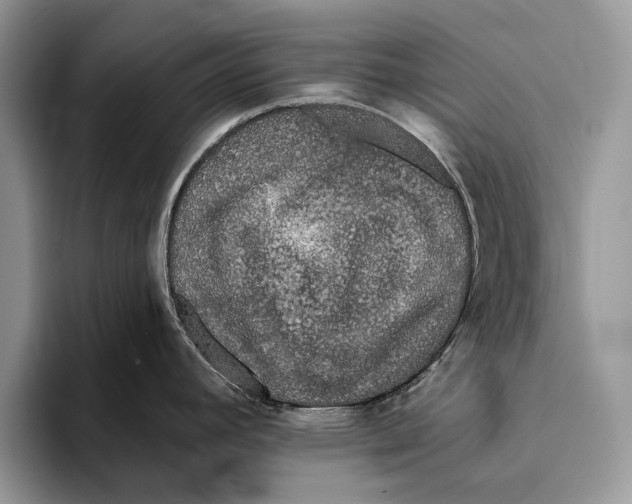 X0000093411392200711091351