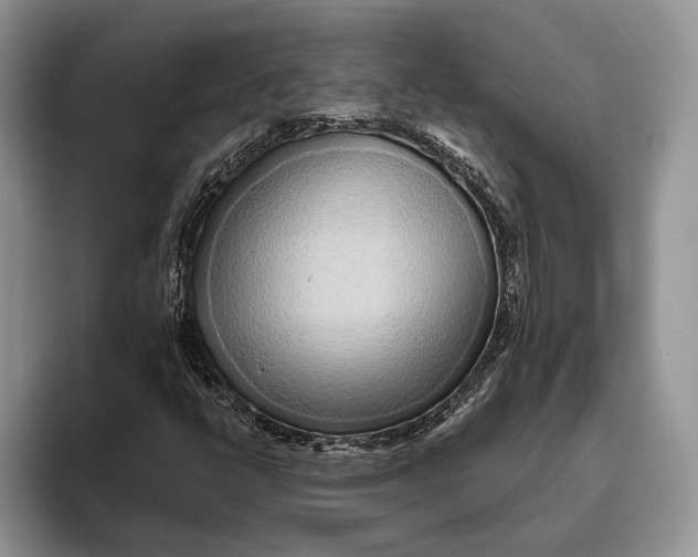 X0000093411398200711091351