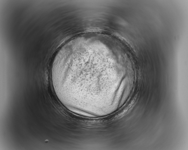 X0000093411401200711091351