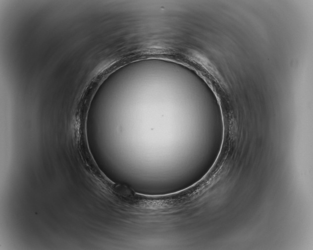 X0000093411402200711091351