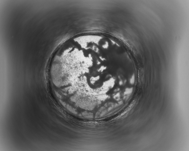 X0000093411405200711091351