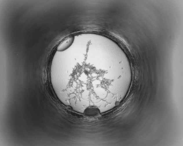 X0000093411407200711091351