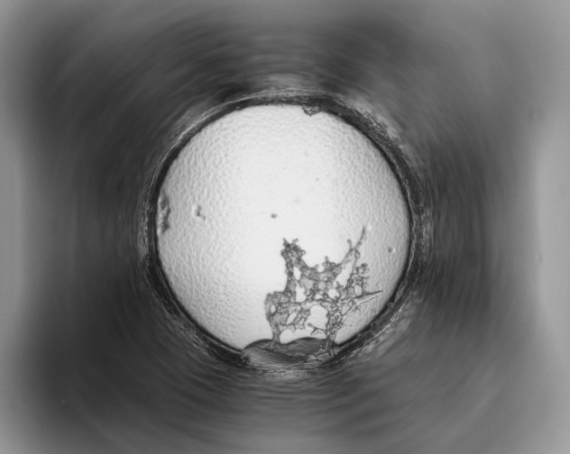 X0000093411409200711091351