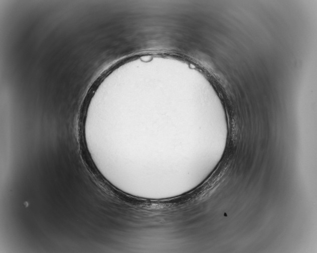 X0000093411412200711091351