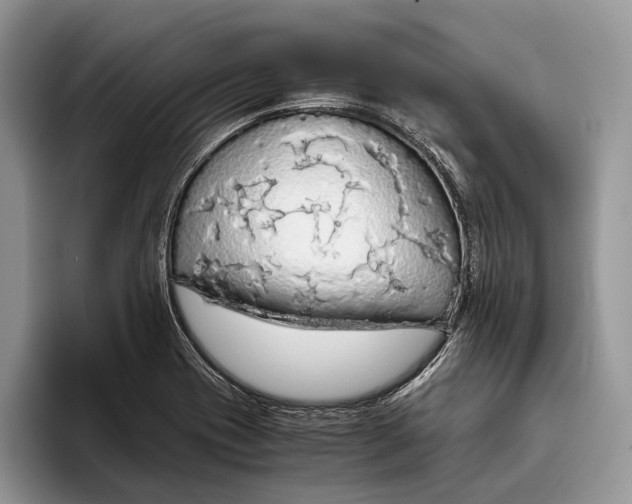 X0000093411417200711091351