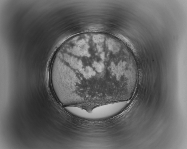 X0000093411419200711091351