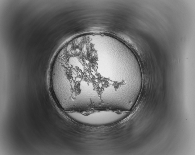 X0000093411421200711091351