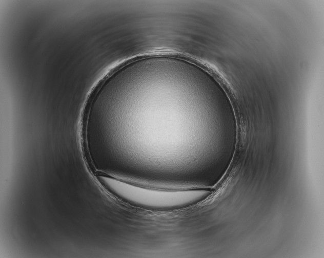 X0000093411422200711091351