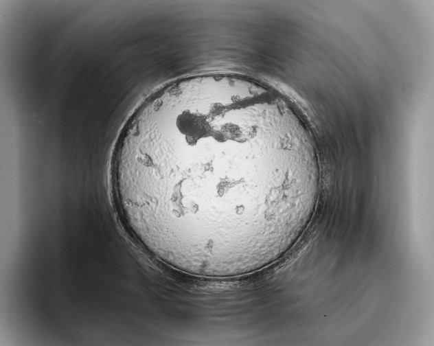 X0000093411423200711091351