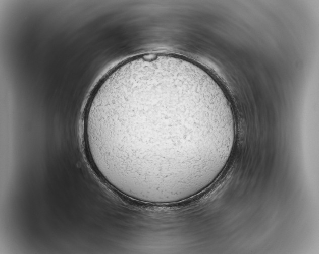 X0000093411424200711091351