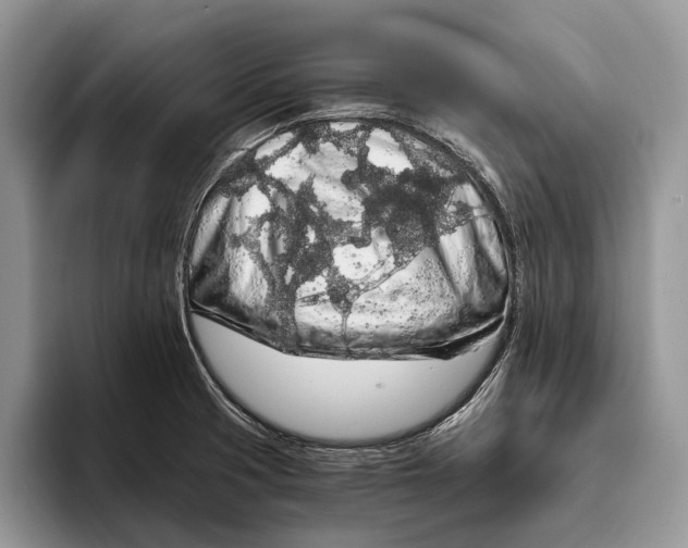 X0000093411425200711091351