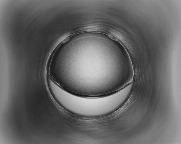 X0000093411426200711091351