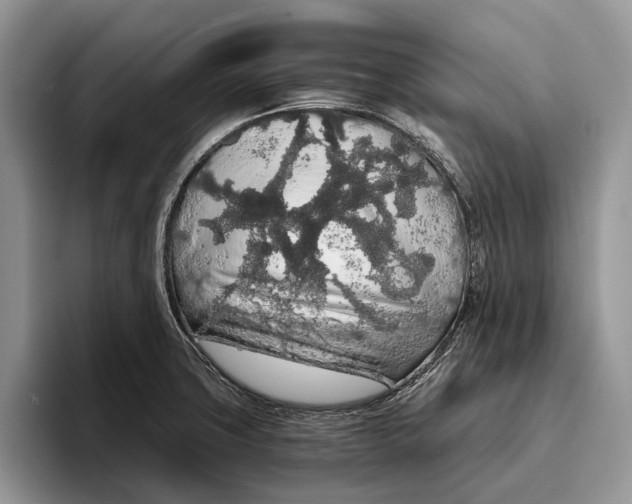 X0000093411427200711091351