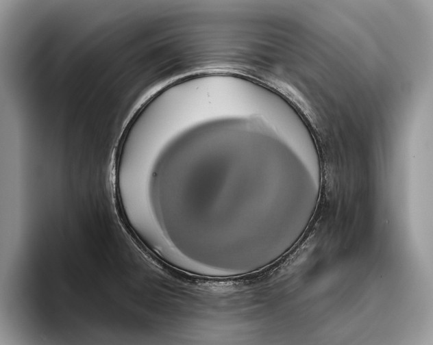 X0000093411428200711091351