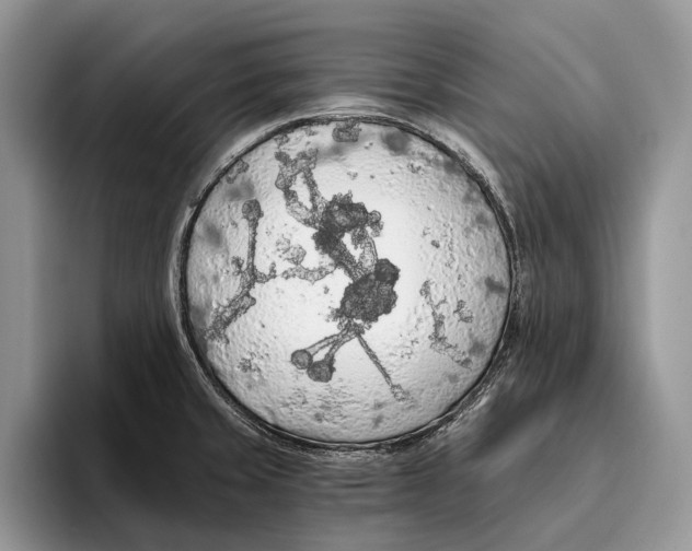 X0000093411429200711091351