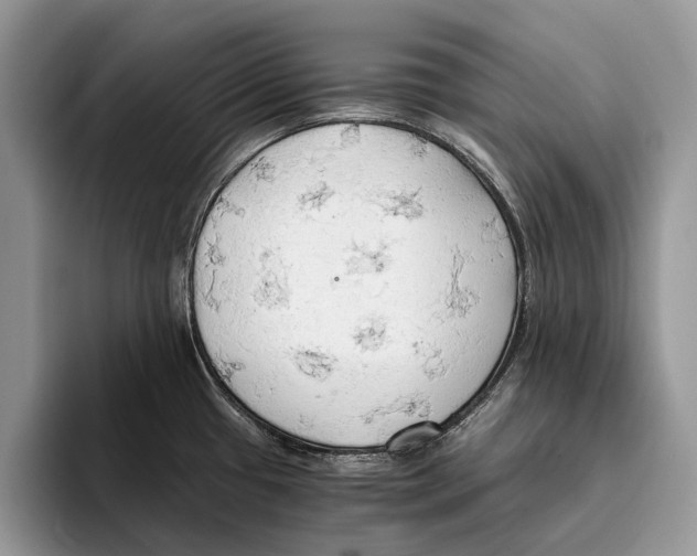 X0000093411433200711091351